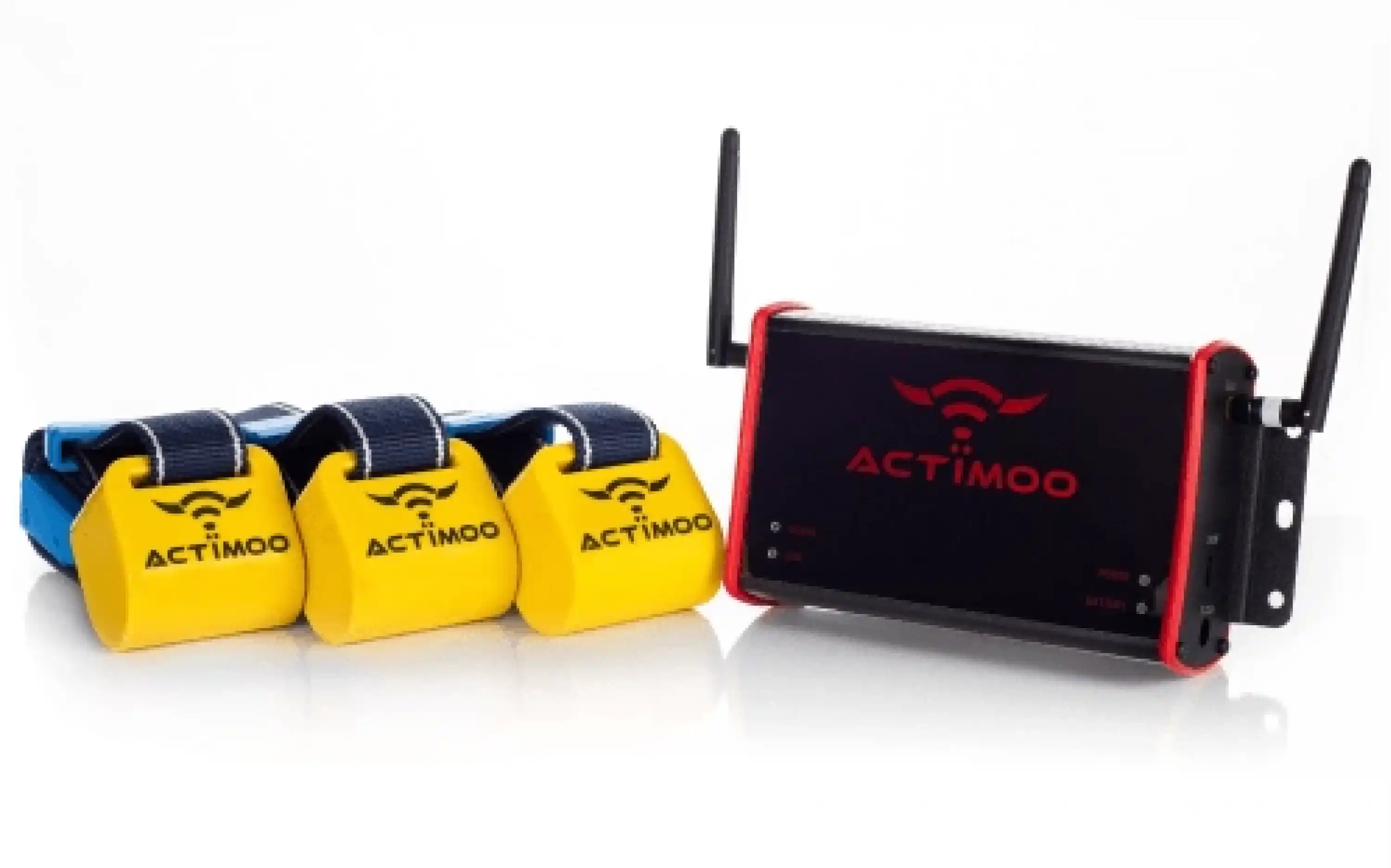 Actimoo Kızgınlık Takip Cihazı - ( 1 ad. Okuyucu - 3 ad. Aktivitemetre )