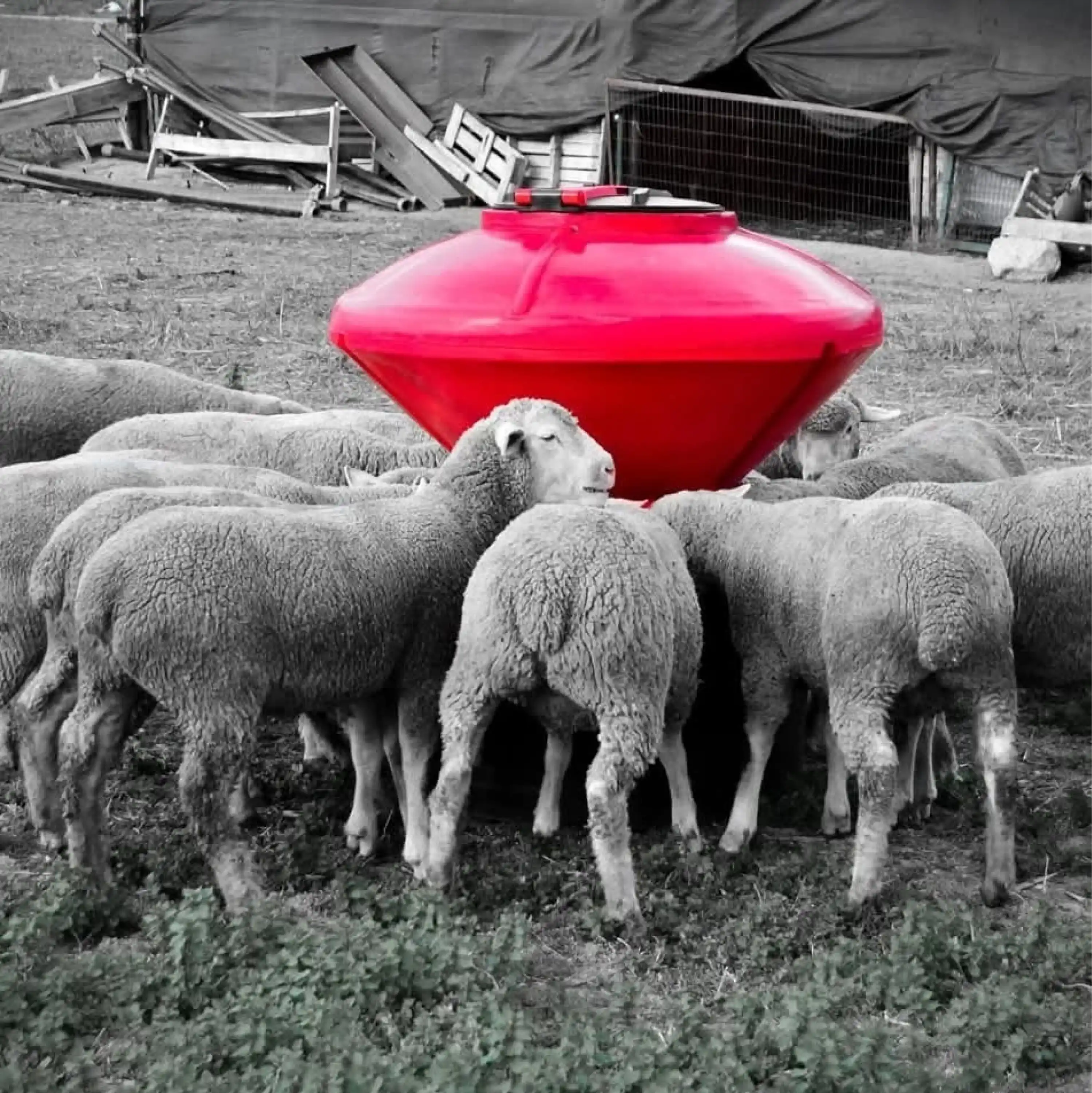 Küçükbaş Otomatik Plastik Yemlik - 250 kg Kapasiteli