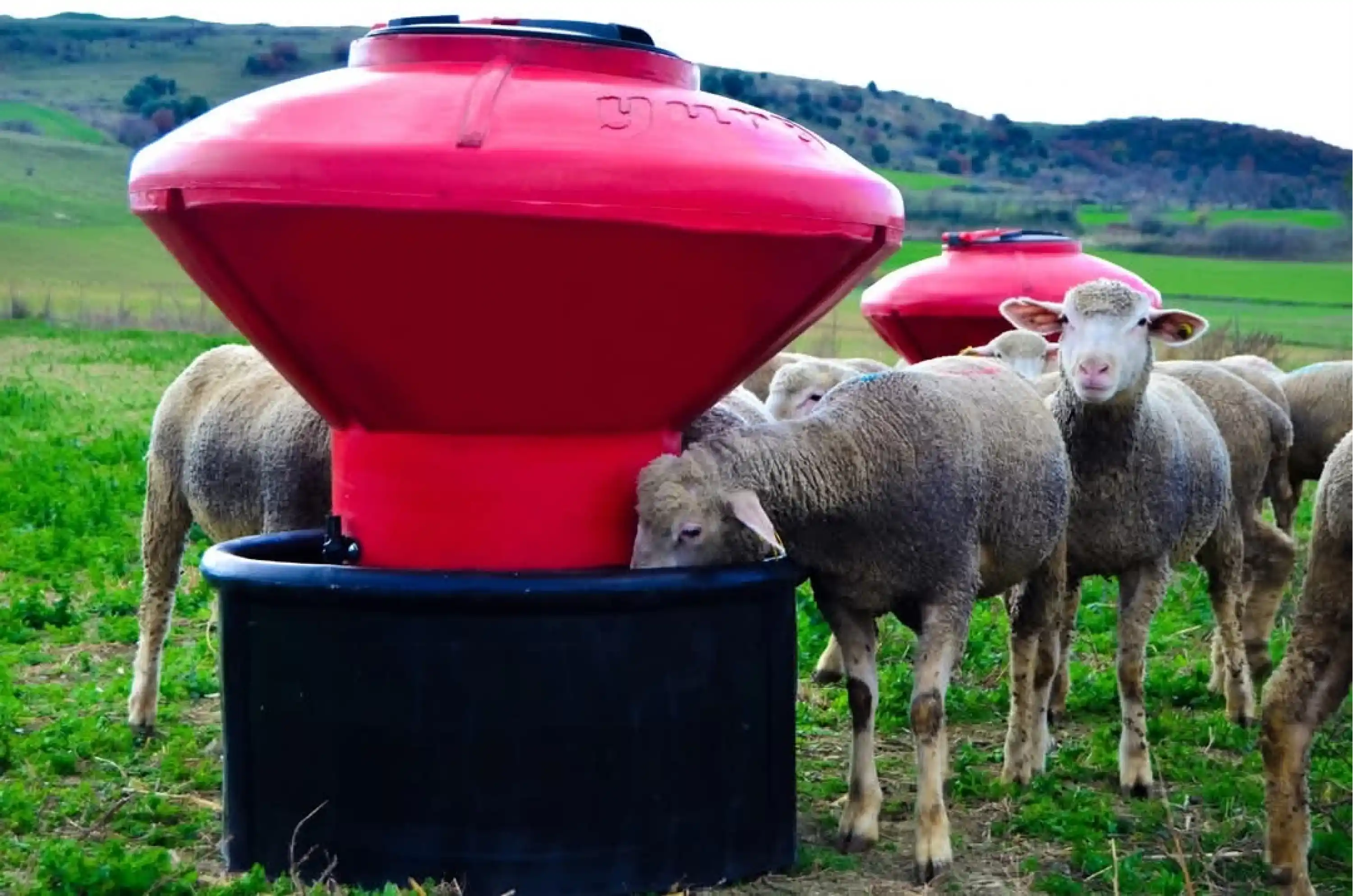 Küçükbaş Otomatik Plastik Yemlik - 250 kg Kapasiteli