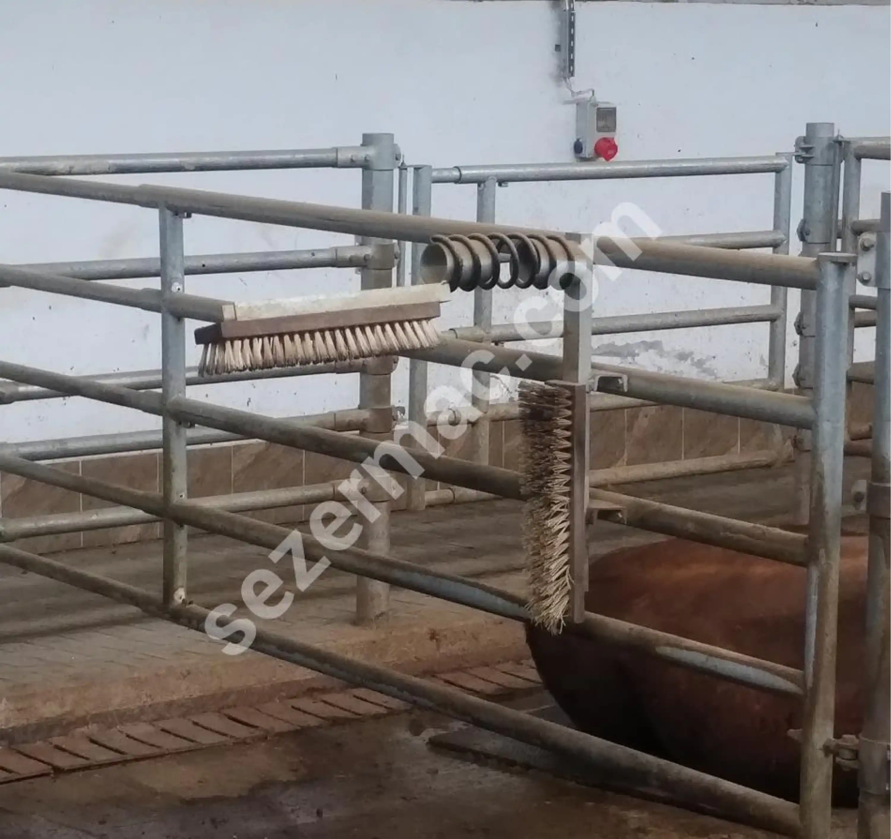 Sezer Manuel Yaylı Hayvan Kaşıma Fırçası ( 2 Parça )