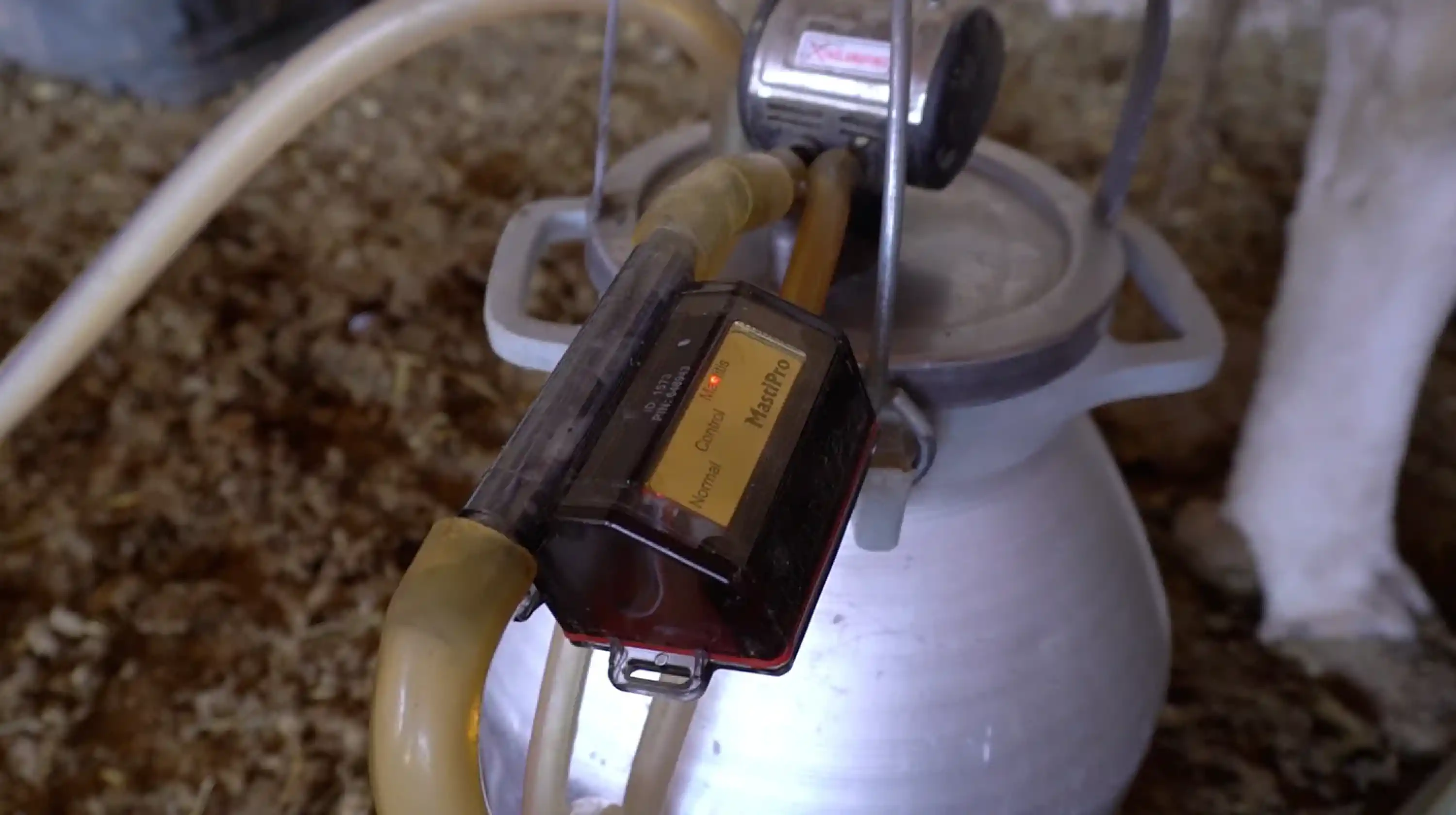 Mastipro - Mastitis Tespit Cihazı