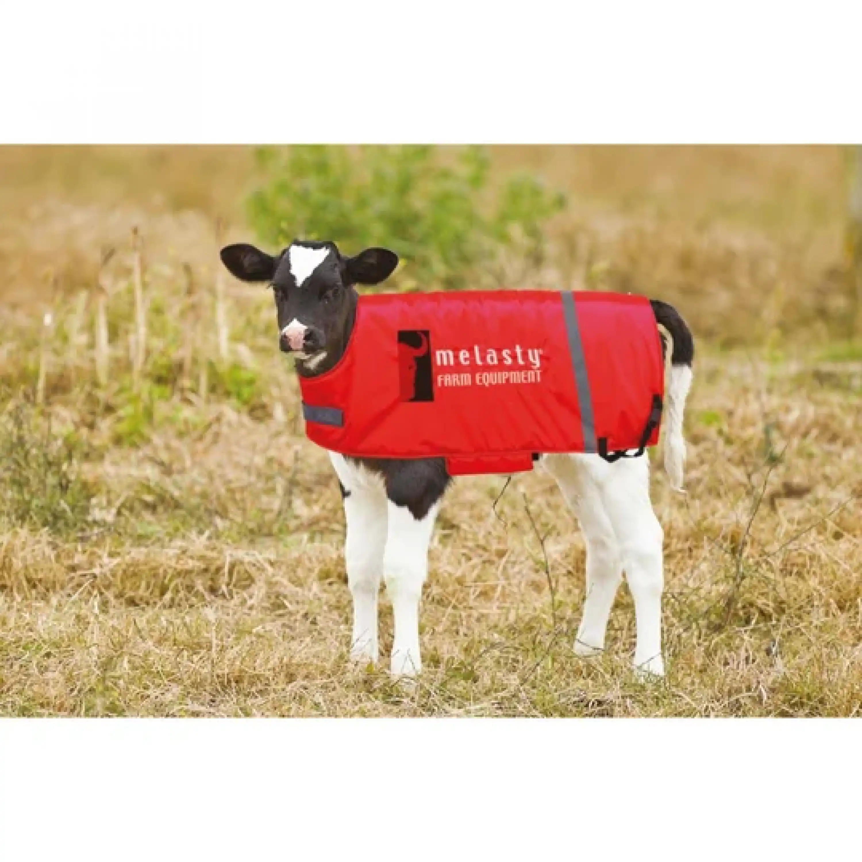 Melasty Ekonomik Buzağı Yeleği