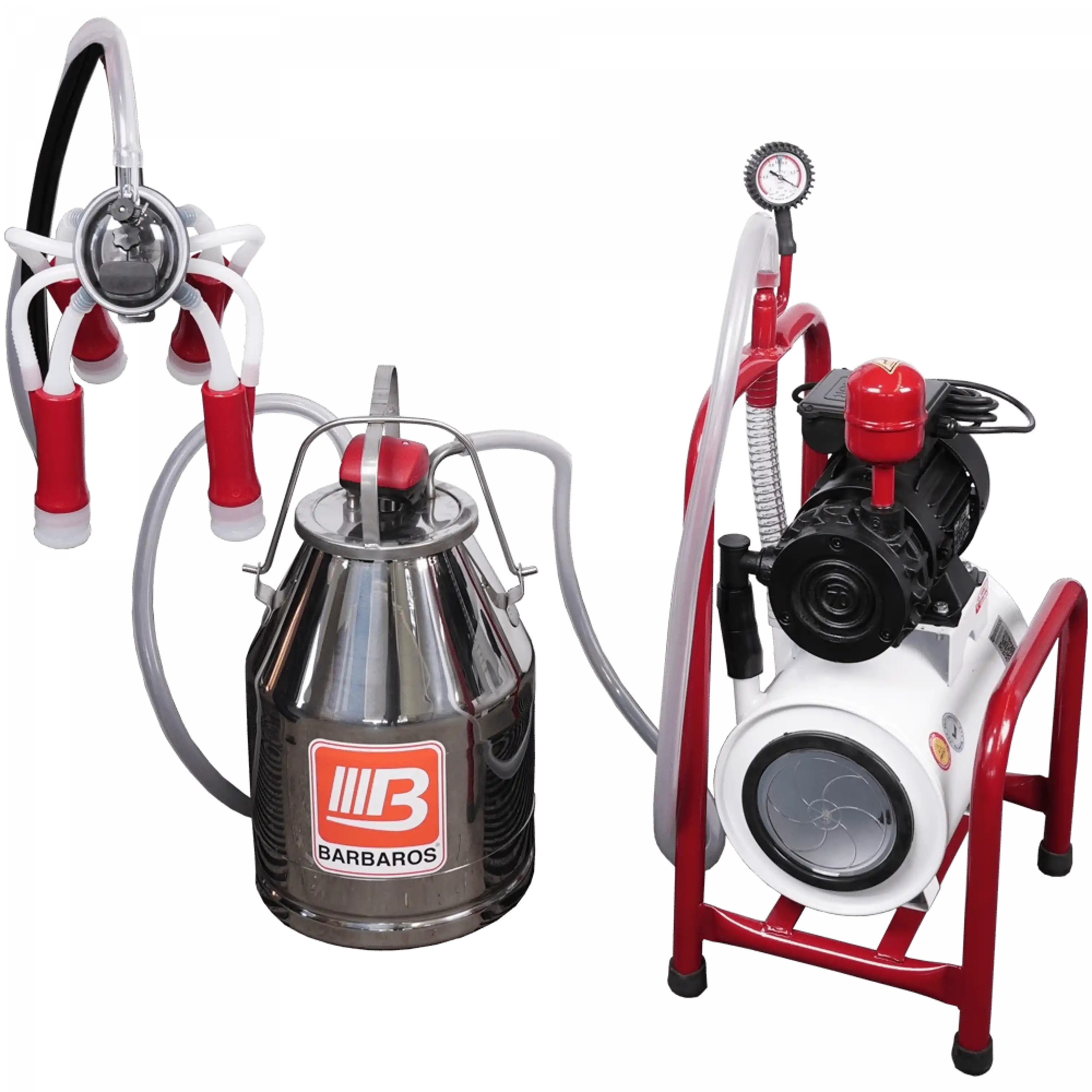 Sabit Kuru Pompa Süt Sağım Makinesi 30 Litre