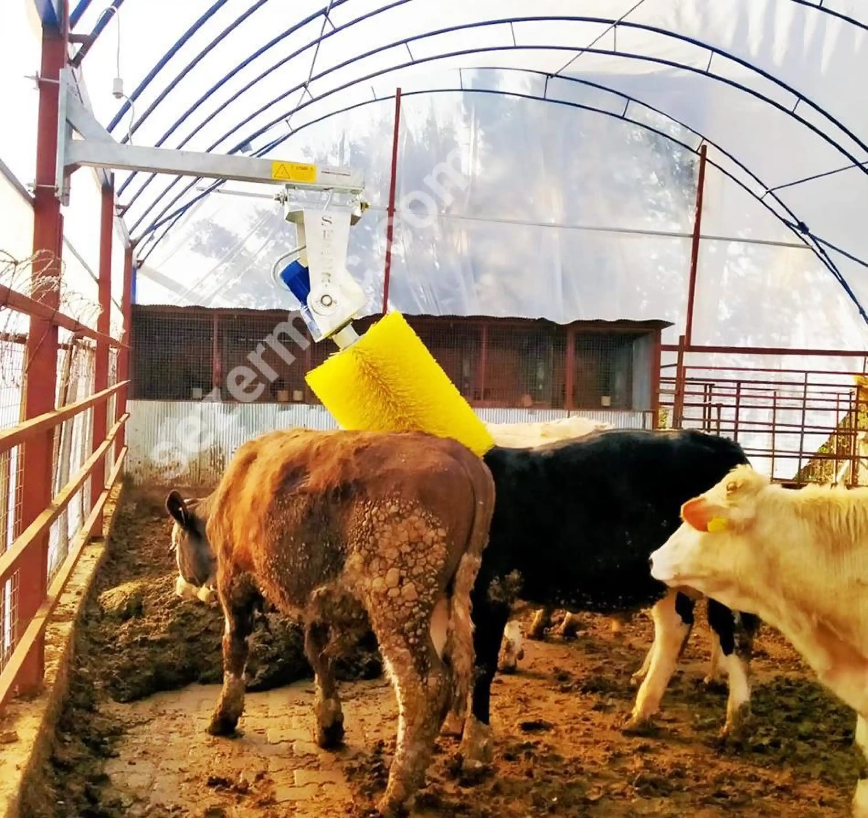 Sezer OKF-2 Elektrikli Otomatik Sensörlü Havyan Kaşıma Makinesi (Galvaniz Şase)