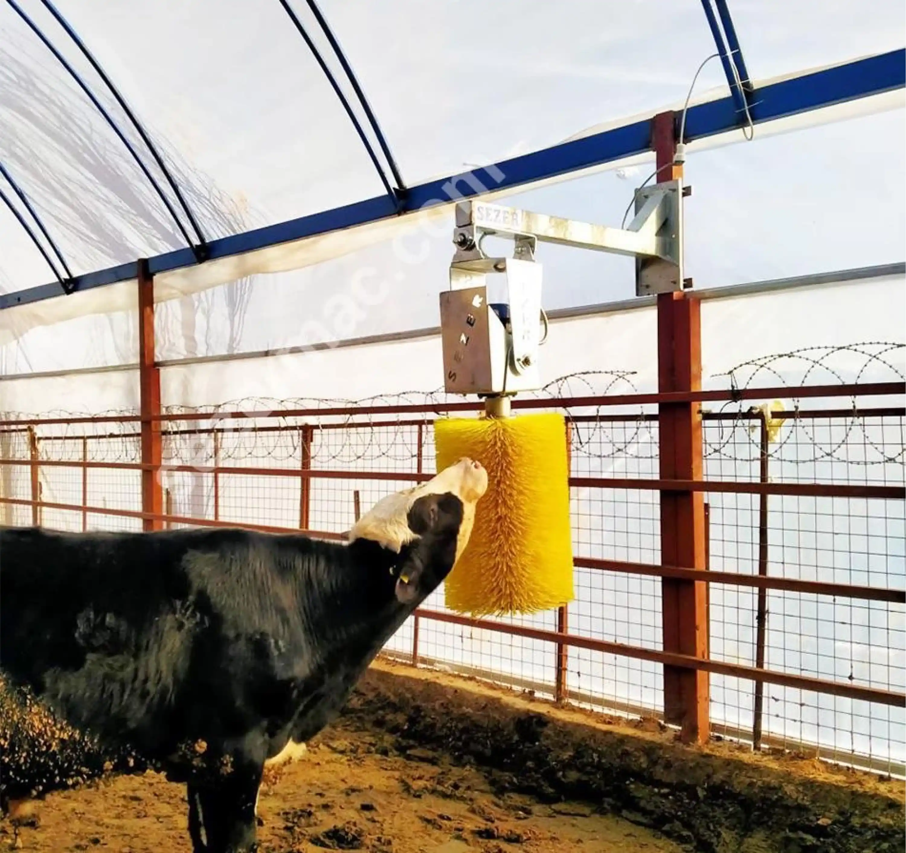 Sezer OKF-2 Elektrikli Otomatik Sensörlü Havyan Kaşıma Makinesi (Galvaniz Şase)