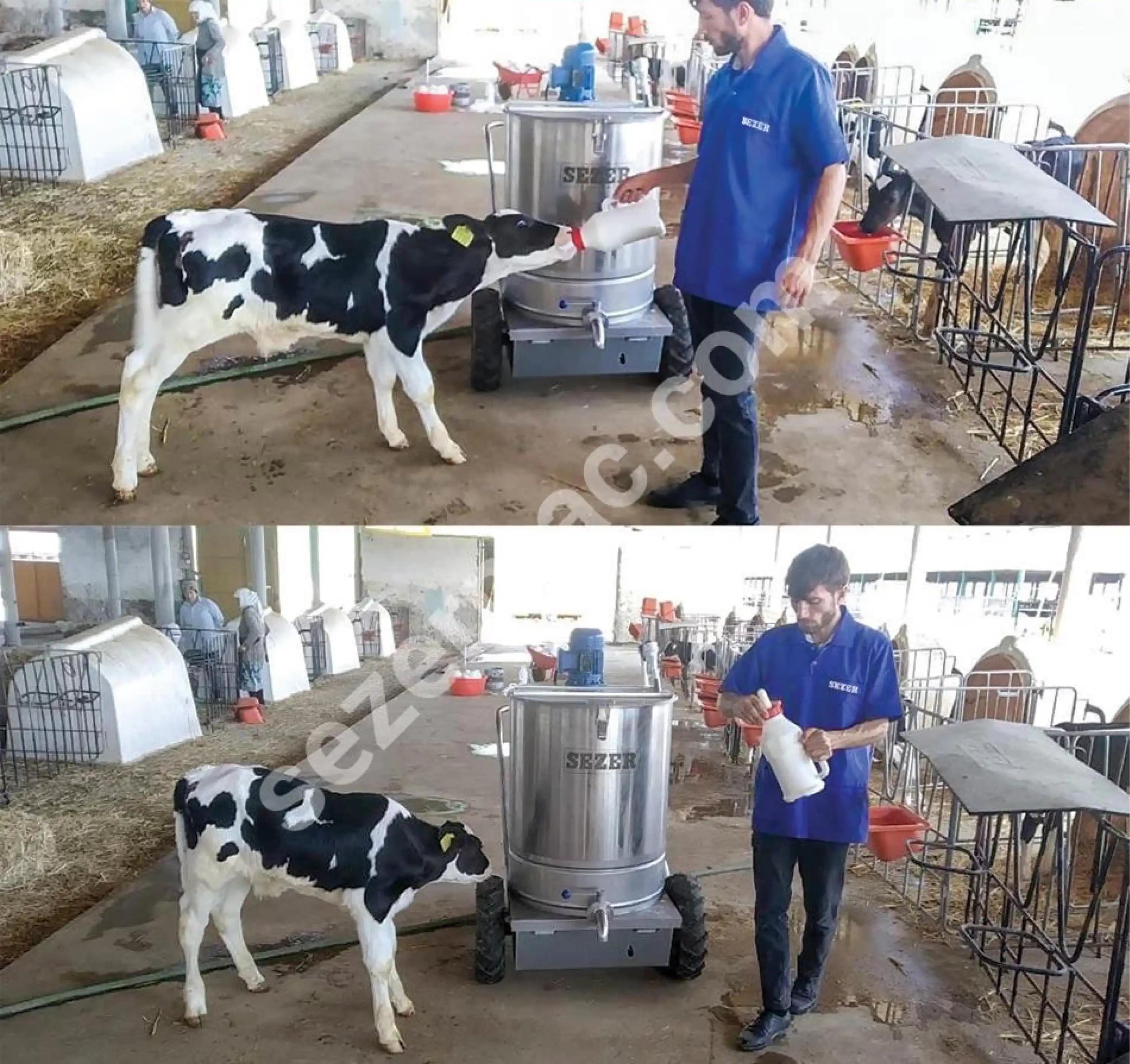 Sezer S-Calf PRO Mama Hazırlama Makinesi - Pastörizatörlü, Kendinden Yürür (250 L.)