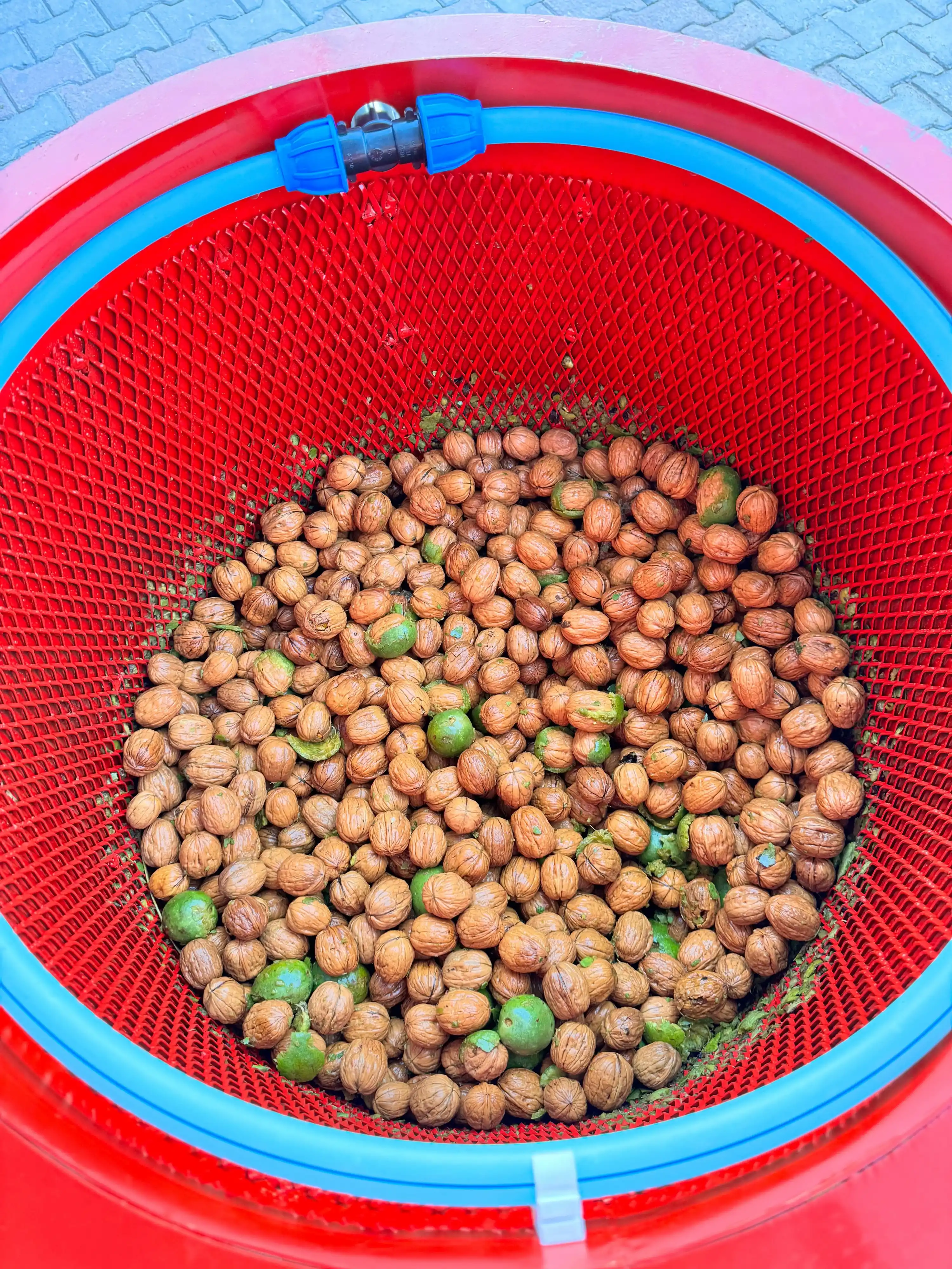 Sotem CS500 Ceviz Soyma Makinesi 110 Litre