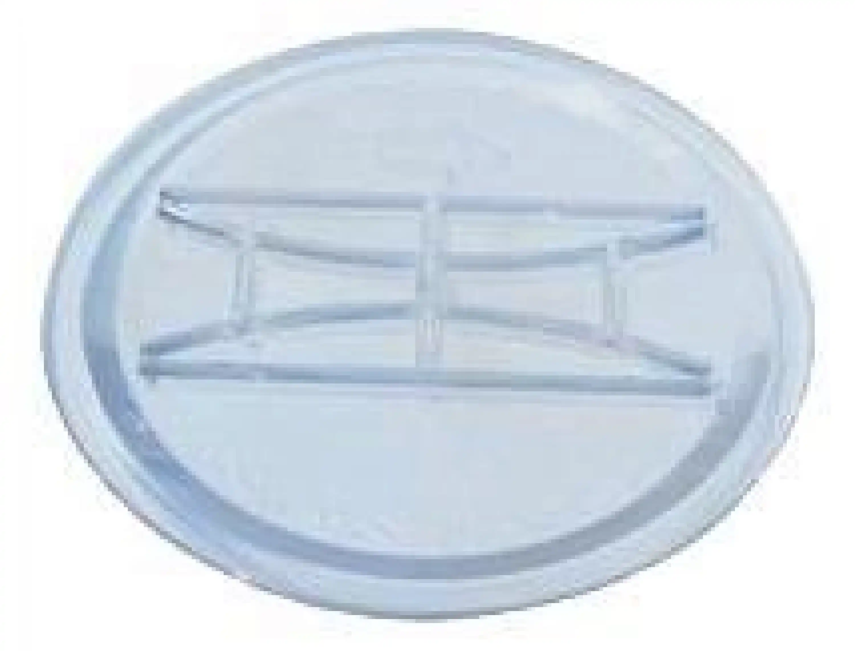 Büyük Tip Vakum Tank Camı - Süt Sağım Makinesi