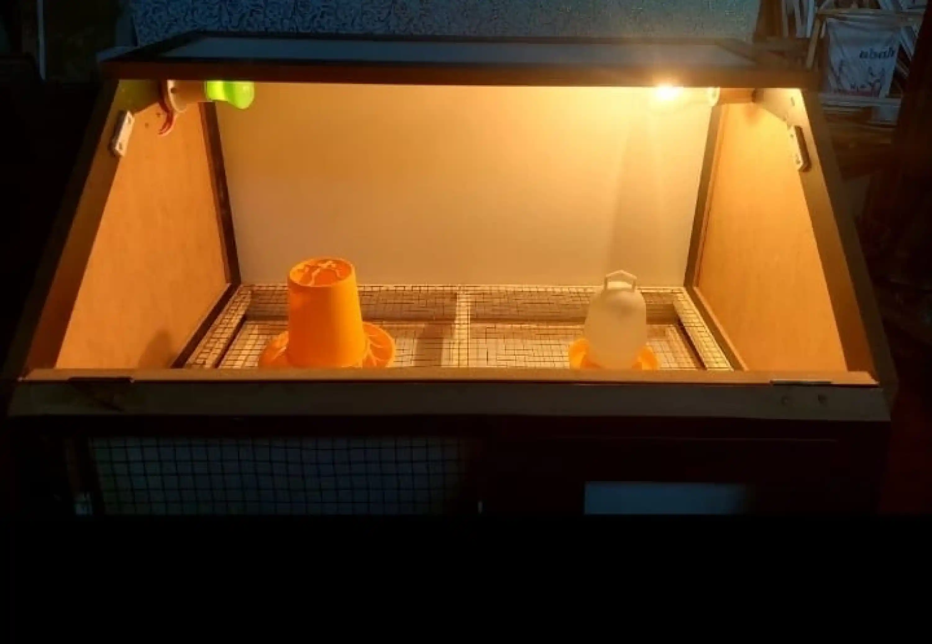 Yeni Model Civciv Büyütme Kafesi - MDF