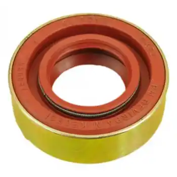 Devirdaim Keçesi - Pancar Su Motoru