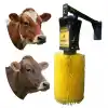 Aymilk Elektrikli Otomatik Sensörlü Havyan Kaşıma Makinesi