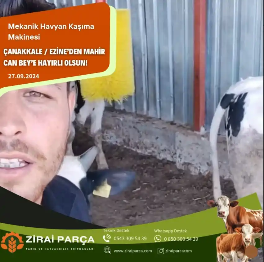 Çanakkale - Mahir Bey - Mekanik Hayvan Kaşıma Fırçası