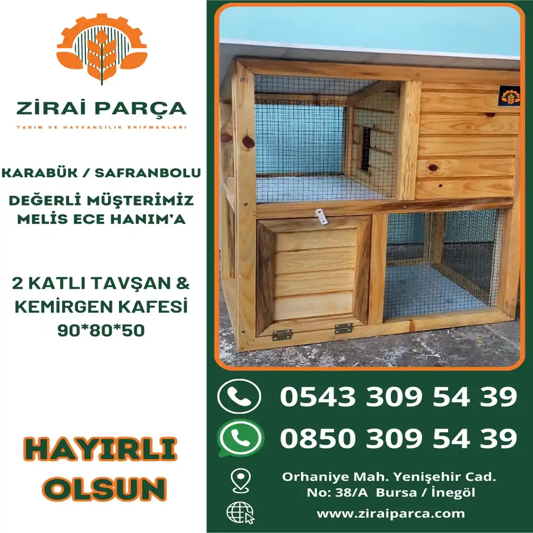 Karabük / Safranboludan Melis Ece Hanım - 2 Katlı Tavşan & Kemirgen Kafesi