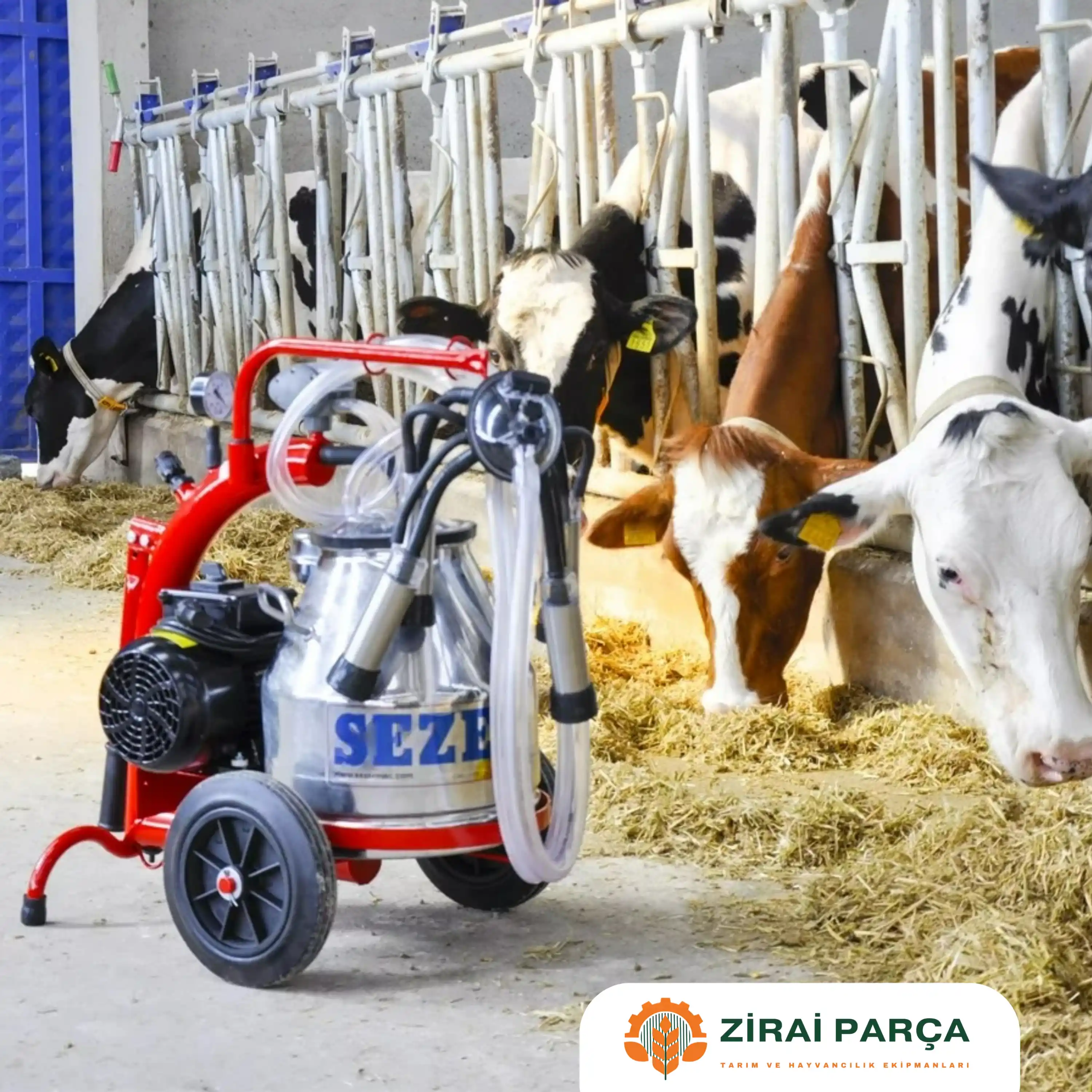 Sezer Mini-1 (20 Lt) Süt Sağım Makinesi