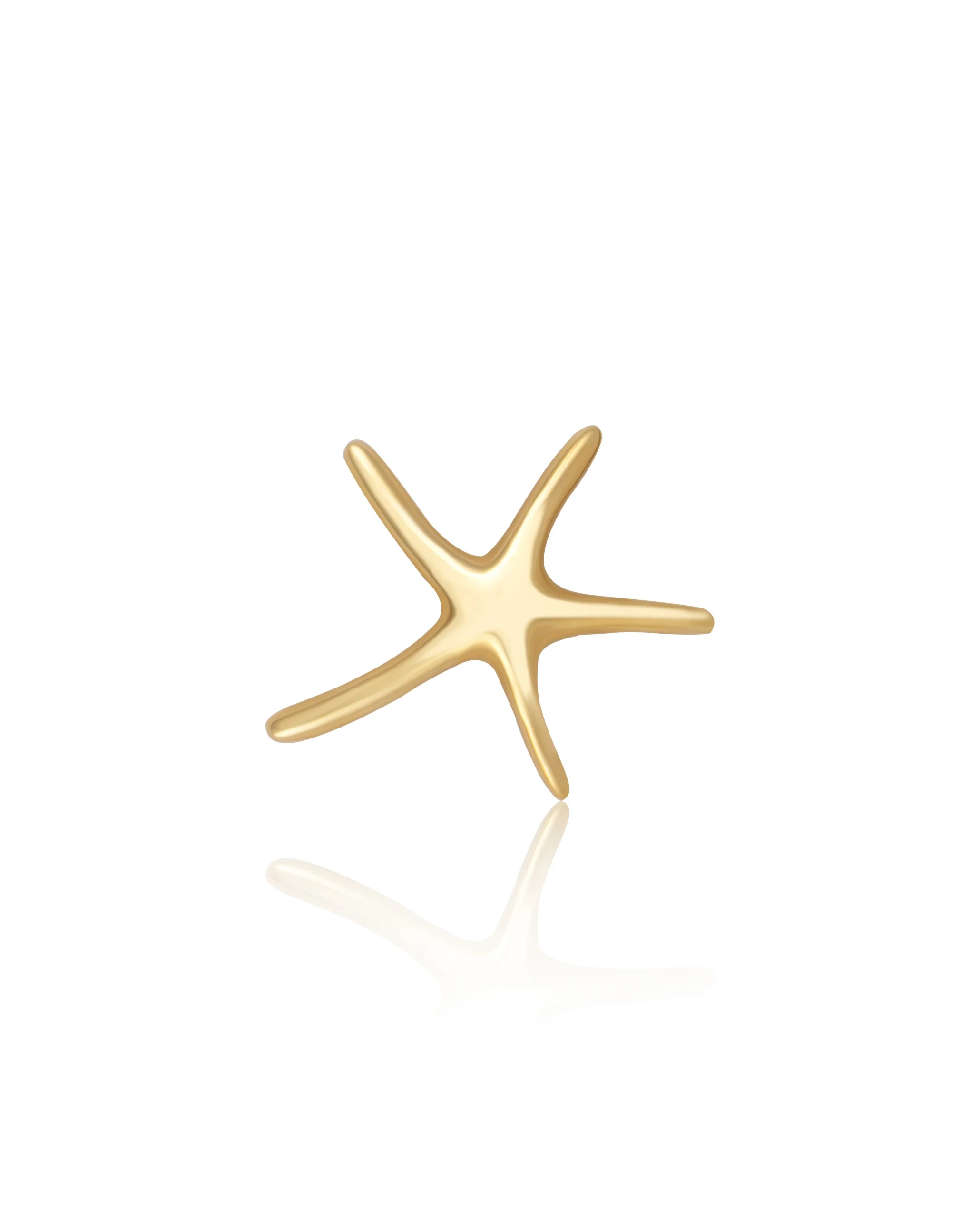 Deniz Yıldızı Kolye Ucu