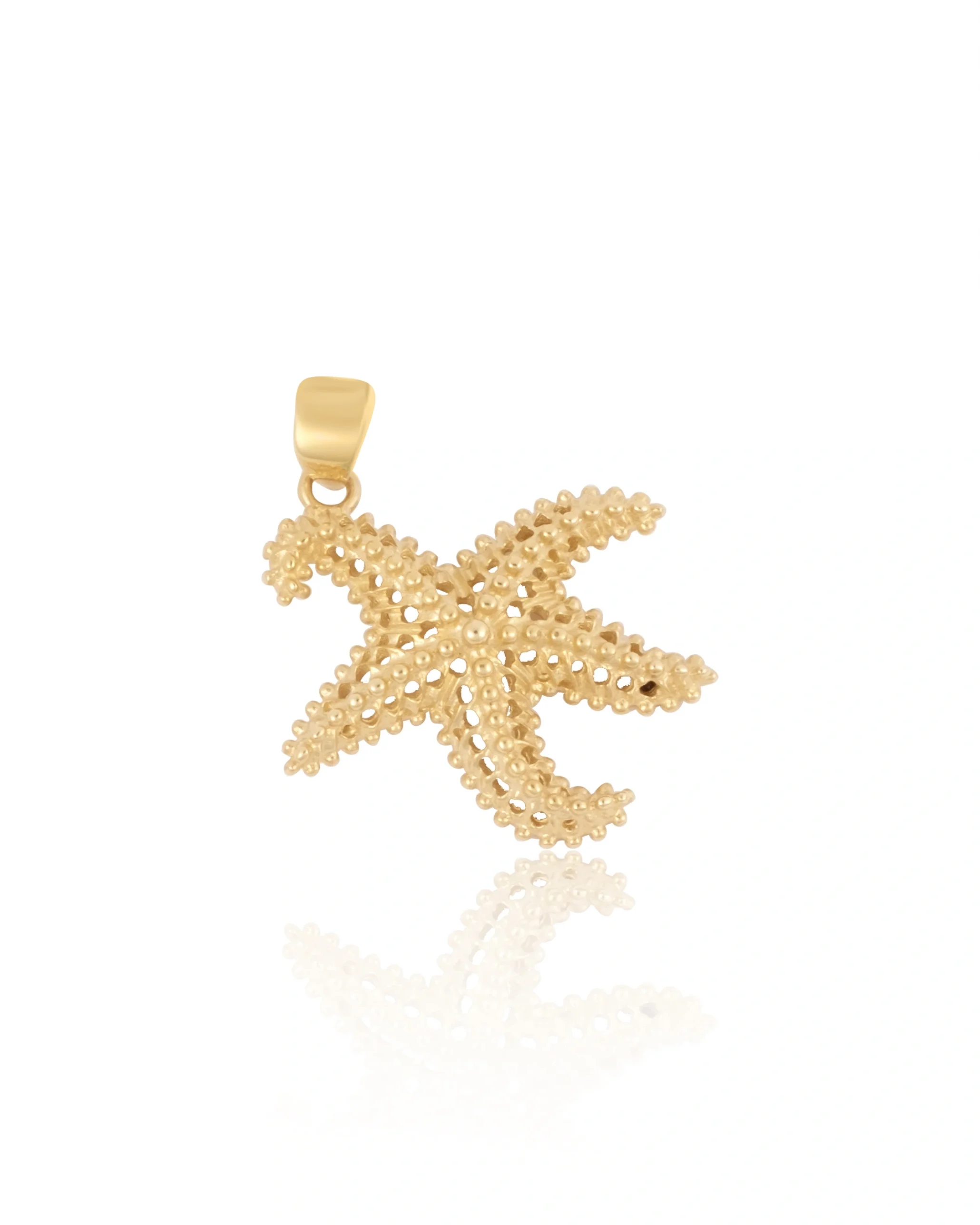 Deniz Yıldızı Kolye Ucu