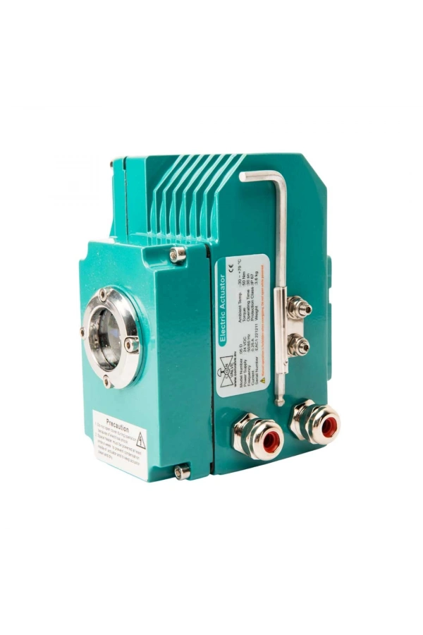 Analog Elektrik Tahrik EAC1-A-010 (24V DC)