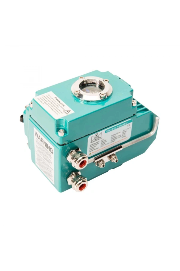 Analog Elektrik Tahrik EAC1-A-015 (24V DC)