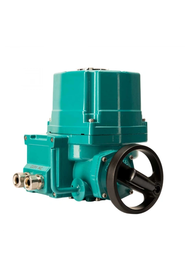 Analog Elektrik Tahrik EAC2-A-050 (220V AC)