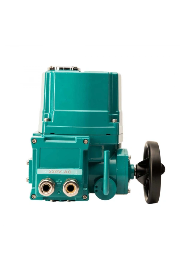 Analog Elektrik Tahrik EAC2-A-080 (220V AC)