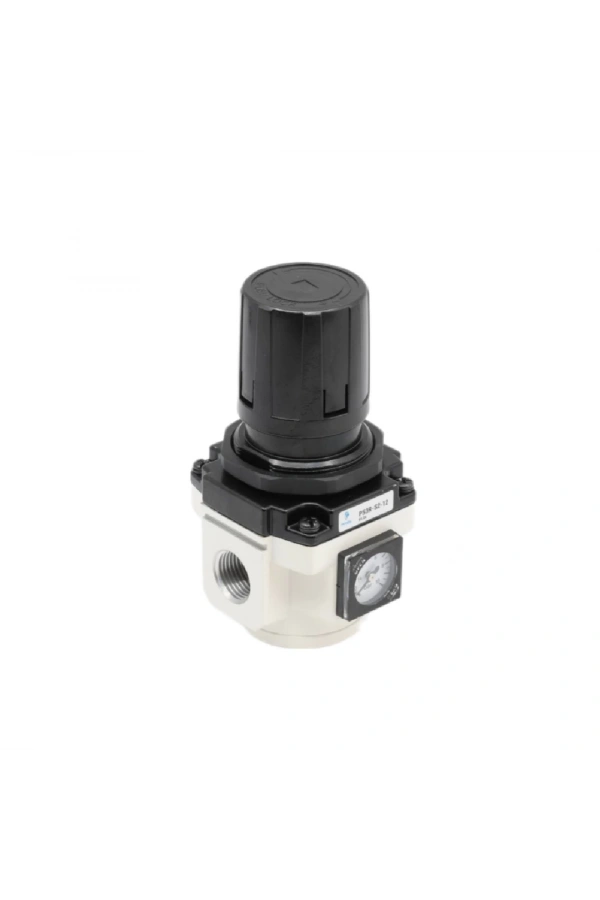 Basınç Regülatörü PS3R-S2-12