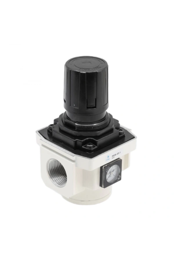 Basınç Regülatörü PS3R-S3-1
