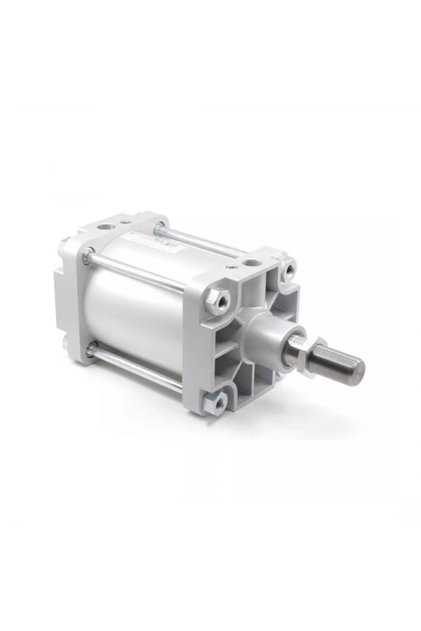 Pnömatik Silindir PMB-125-050