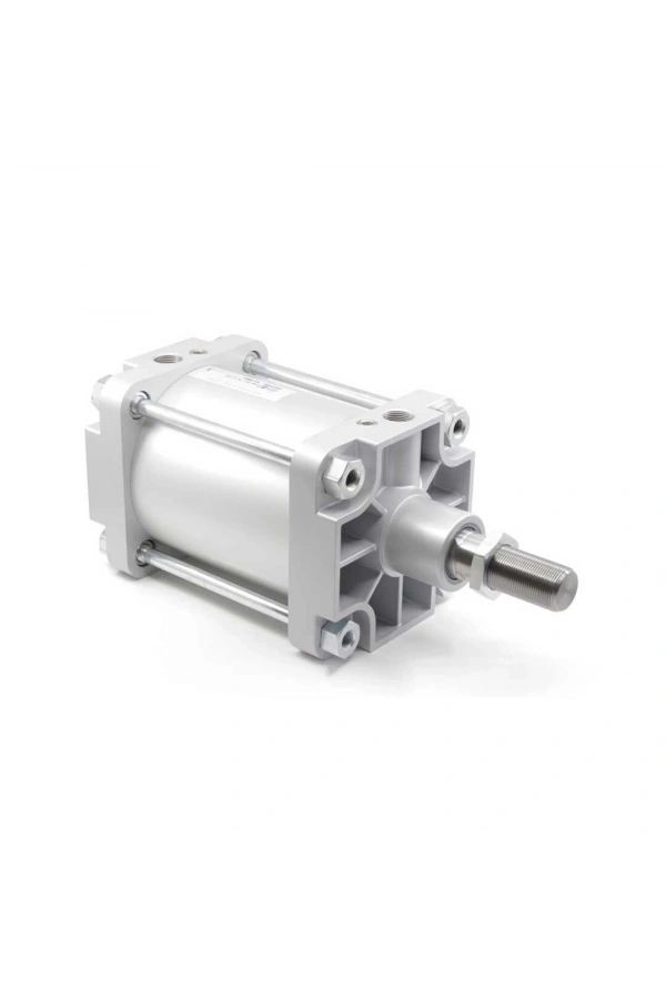 Pnömatik Silindir PMBA-200-025