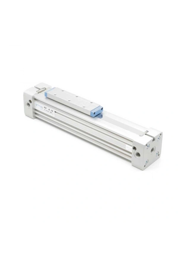 Şaftsız Pnömatik Silindir RDF-0016-0600