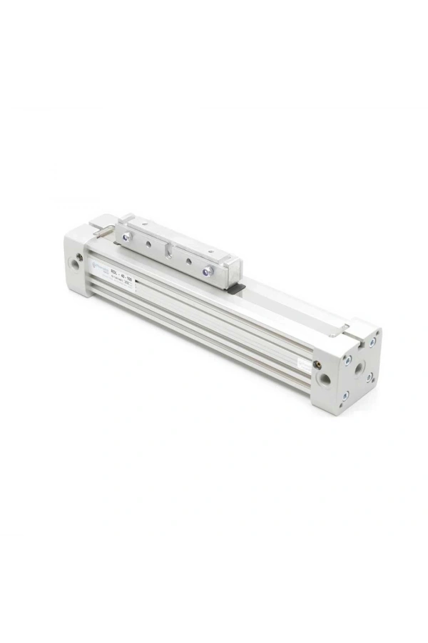 Şaftsız Pnömatik Silindir RDL-0032-0200