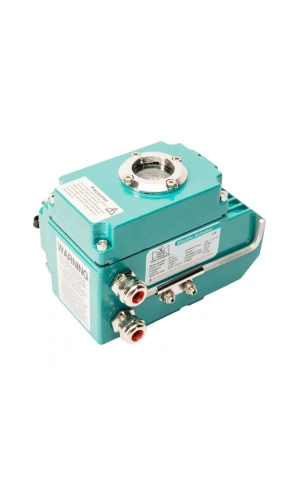 Analog Elektrik Tahrik EAC1-A-015 (24V DC)