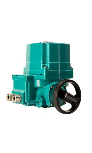 Analog Elektrik Tahrik EAC2-A-030 (220V AC)