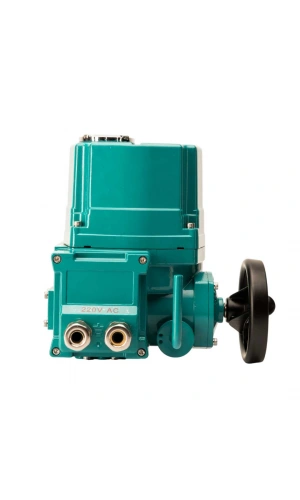 Analog Elektrik Tahrik EAC2-A-050 (220V AC)