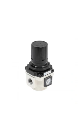 Basınç Regülatörü PS3R-S2-12