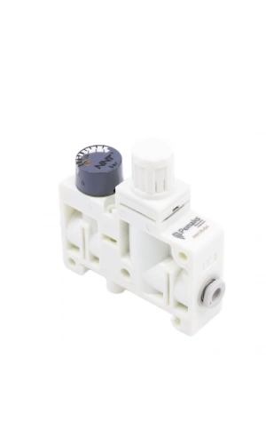 Manometreli Basınç Regülatörü PH1R-04