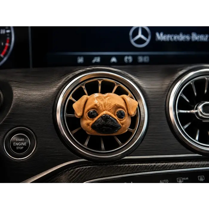 PUG ARABA KOKUSU KAHVE