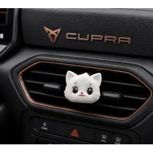 KEDİ ARABA KOKUSU