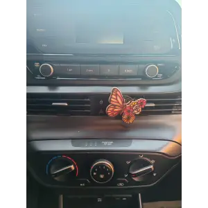 KELEBEK ARABA KOKUSU