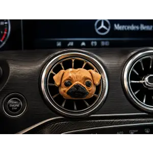 PUG ARABA KOKUSU KAHVE