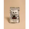 KEDİ ARABA KOKUSU