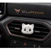 KEDİ ARABA KOKUSU