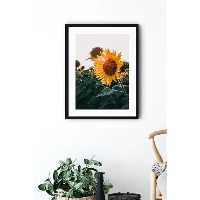 Ayçiçeği 2’li Poster Tablo Seti