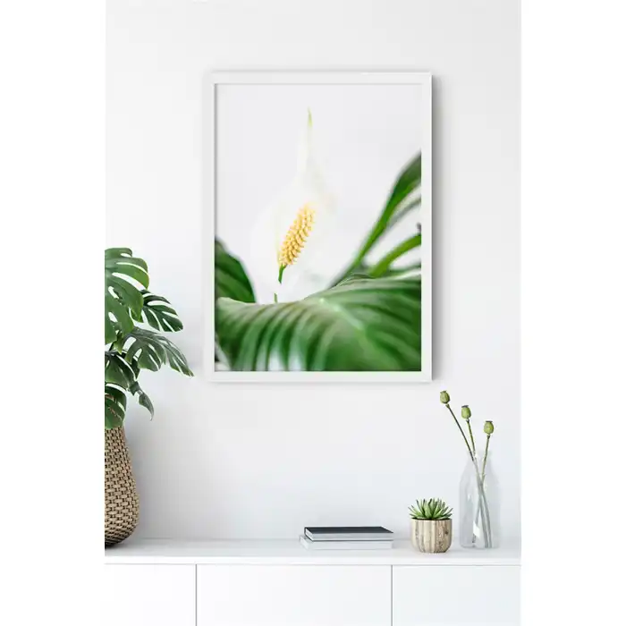 Beyaz Çiçek Poster Tablo No:50