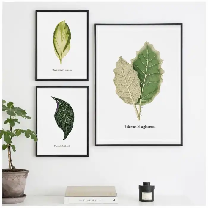 Botanik No:16 Poster Tablo Seti