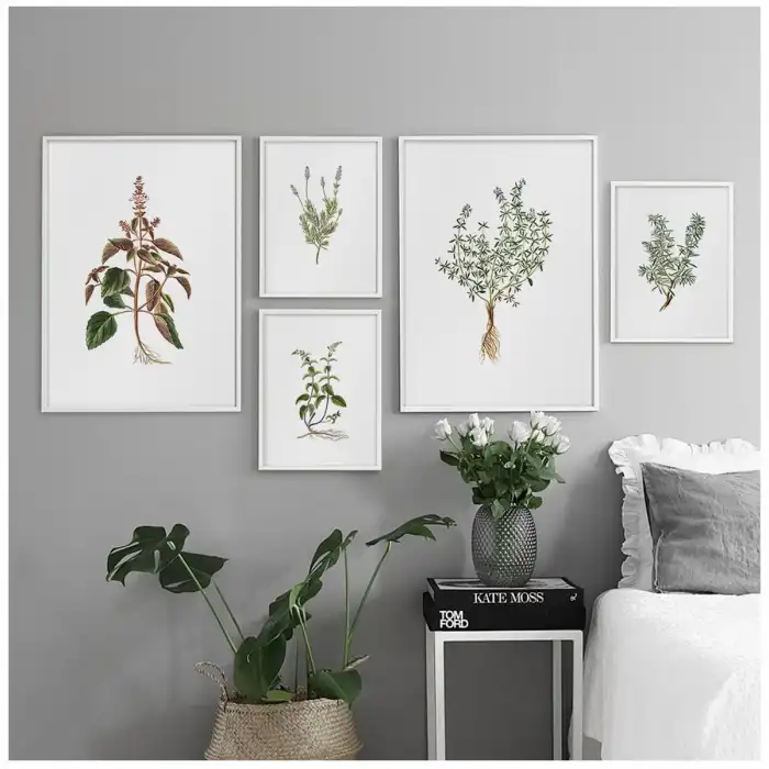 Botanik No:8 Poster Tablo Seti