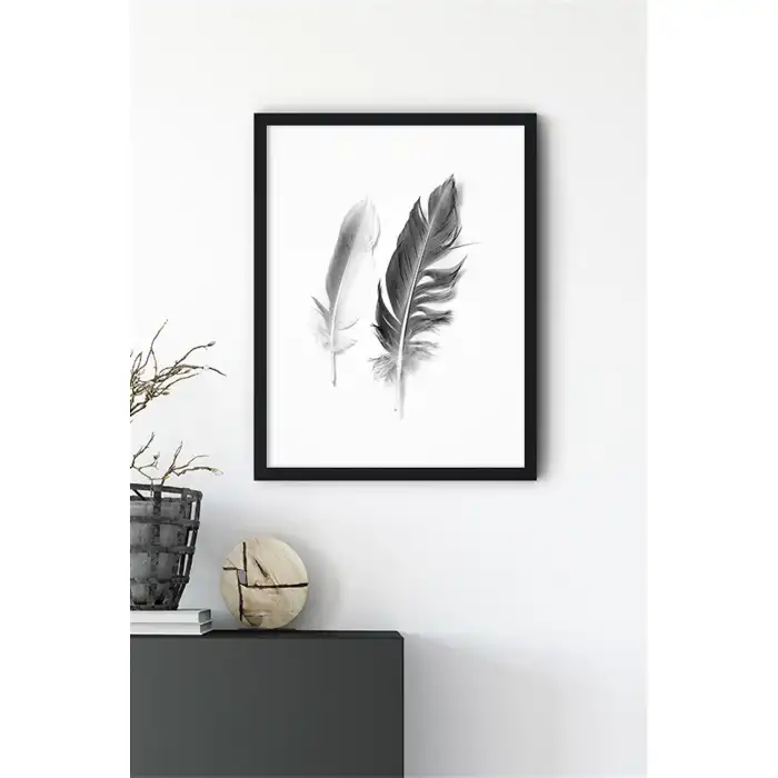 İkili Kuş Tüyü Poster Tablo