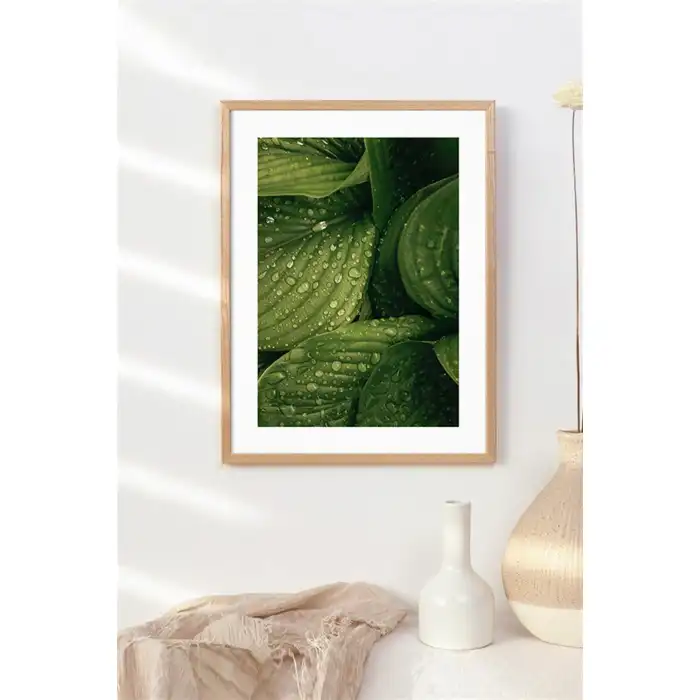 Islak Yaprak Poster Tablo