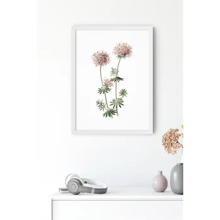 Kafkas Çiçeği Poster Tablo