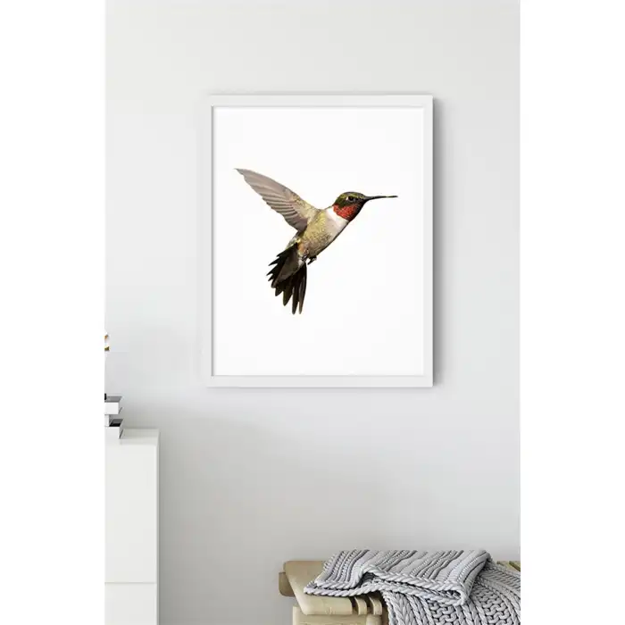 Kahverengi Kuş No:1 Poster Tablo