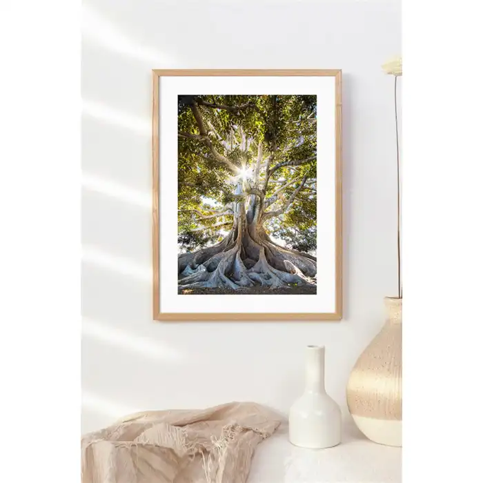 Köklü Ağaç Poster Tablo